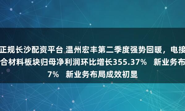 正规长沙配资平台 温州宏丰第二季度强势回暖，电接触及功能复合材料板块归母净利润环比增长355.37%   新业务布局成效初显