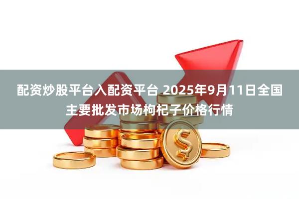 配资炒股平台入配资平台 2025年9月11日全国主要批发市场枸杞子价格行情