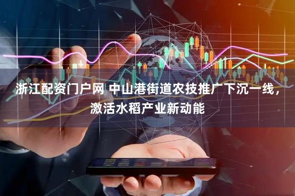 浙江配资门户网 中山港街道农技推广下沉一线,激活水稻产业新动能